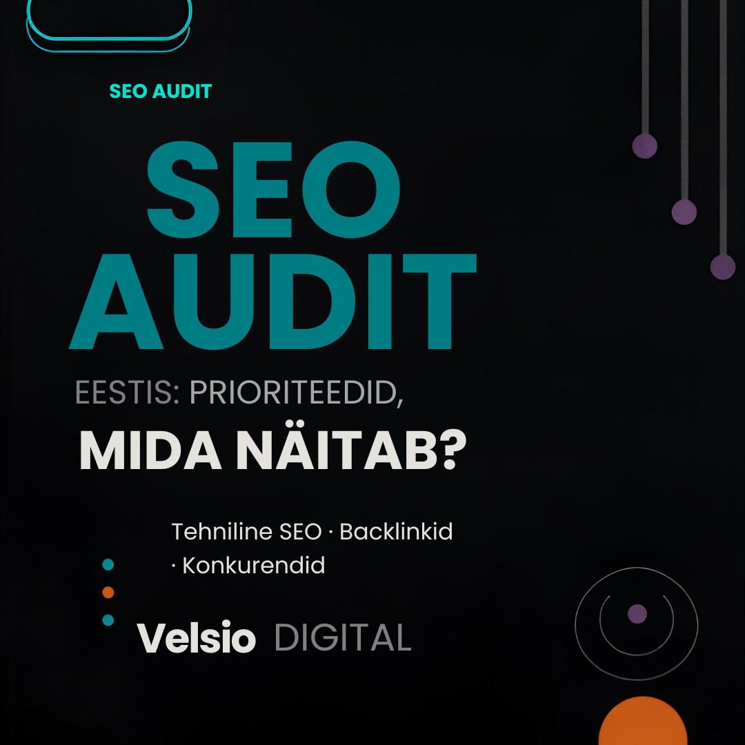 seo audit eestis